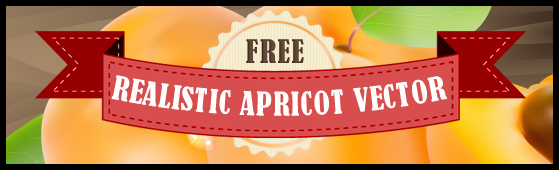 Free Realistic Apricot Vector Illustration 